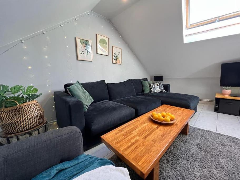 Sanvic - Chaleureux Apartment